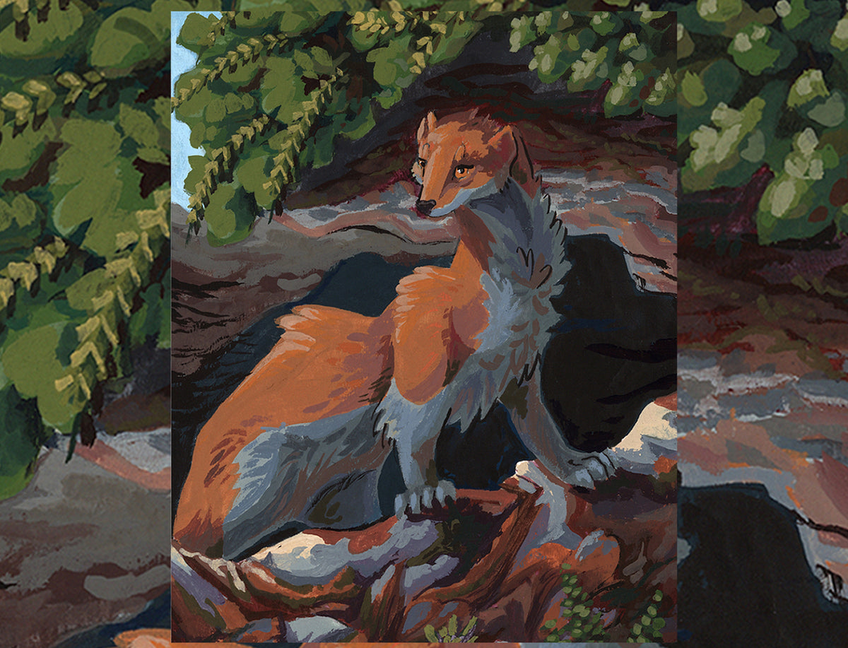 Ermine Fine Art Print