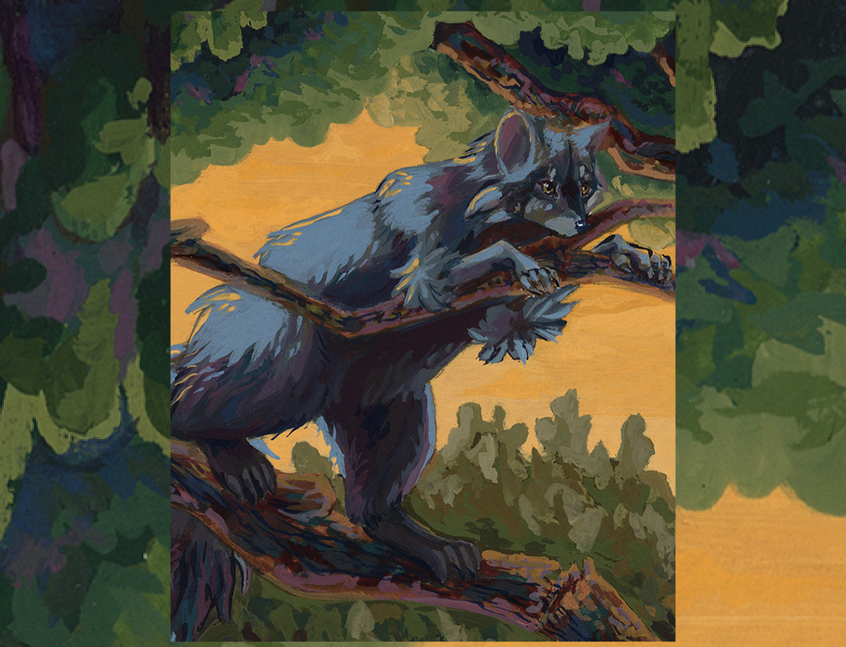 Racoon Fine Art Print
